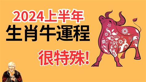 屬牛財運|【屬牛2024生肖運勢】破太歲危機四處，慎防誤墜騙。